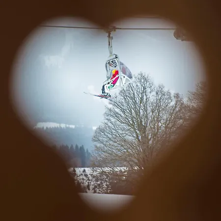 Ski In/Ski Out Chalets Tauernlodge By Schladming-Appartements *